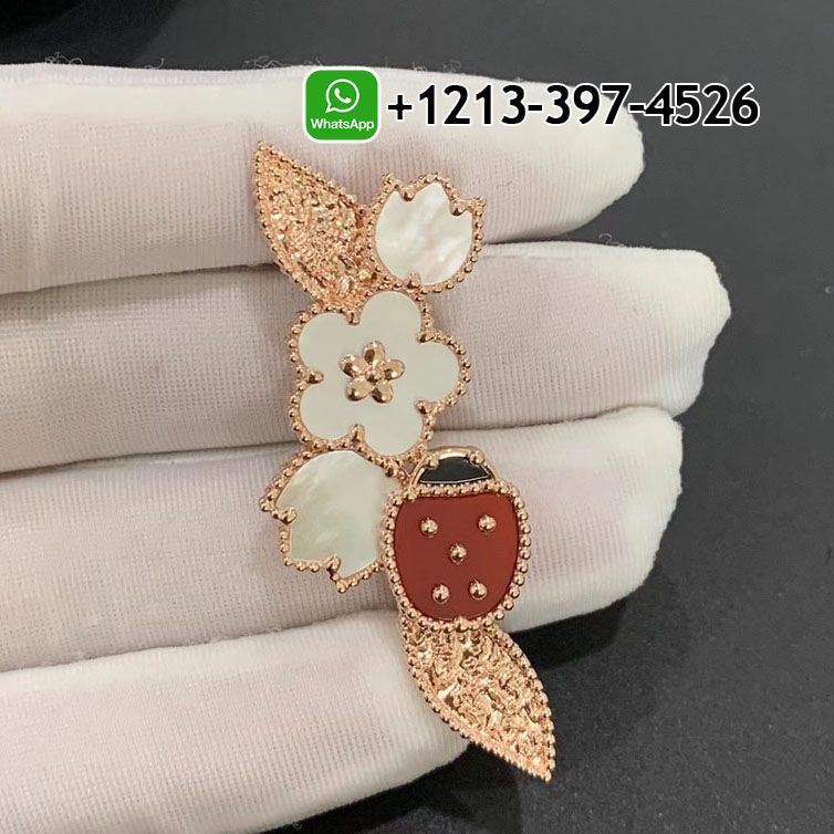 Van Cleef Arpels Lucky Spring Clip 18K Rose Gold Carnelian Mother Of Pearl Onyx VCARP7RS00